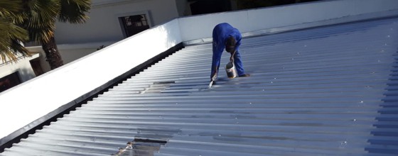 Visible Improvements Roof Painting Randburg Sandton Johannesburg 1 1